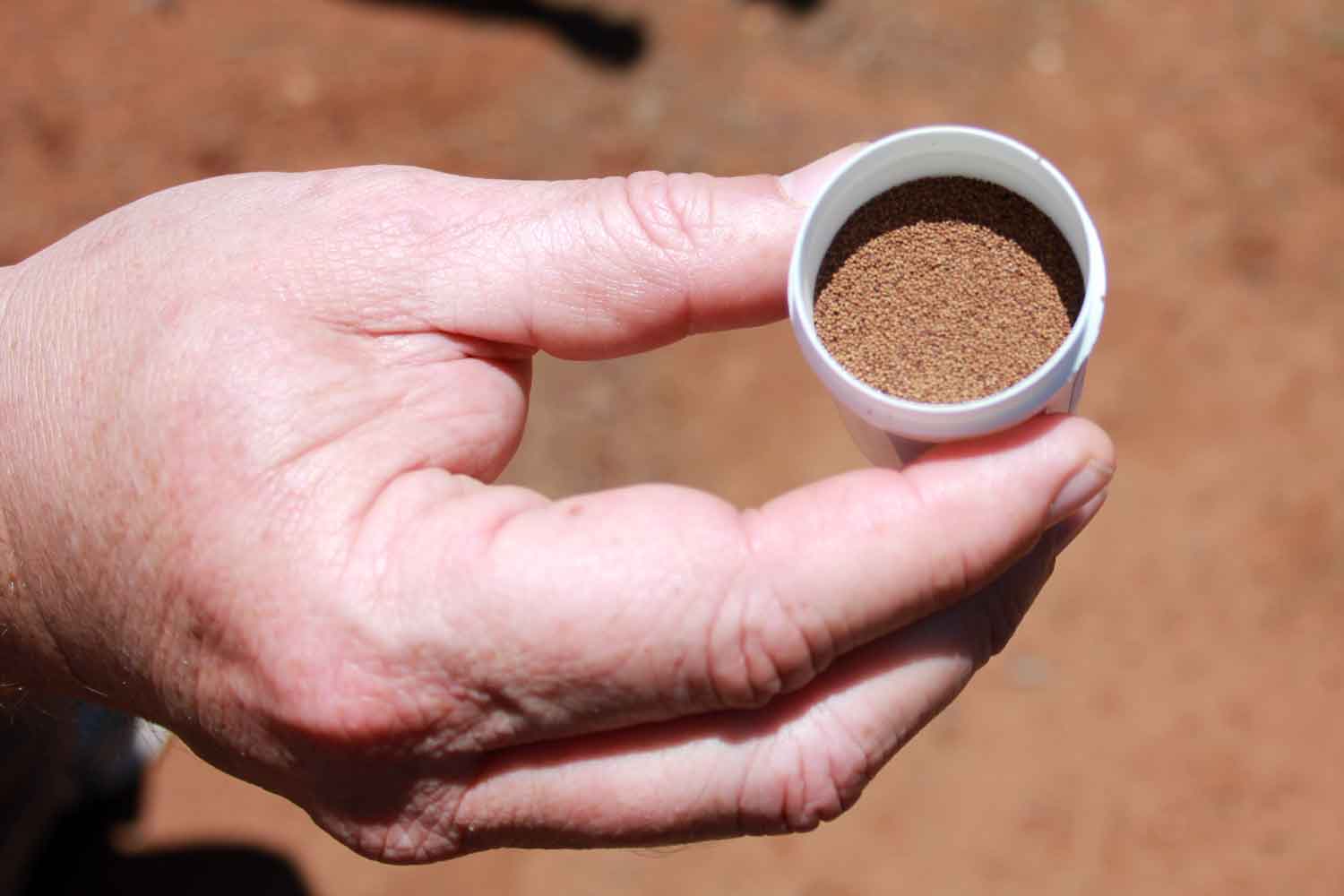 Illegal tobacco seed crackdown puts Zimbabwe's export quality on the line